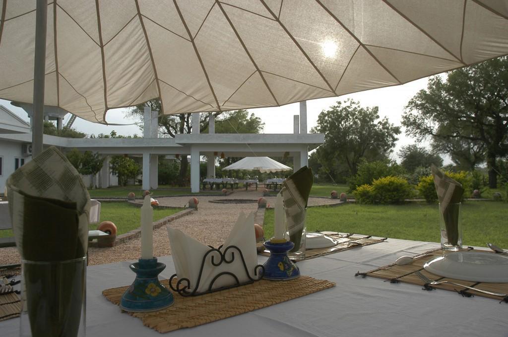 Savista Retreat Otel Jaipur Dış mekan fotoğraf