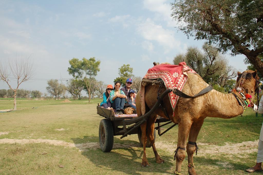 Savista Retreat Otel Jaipur Dış mekan fotoğraf