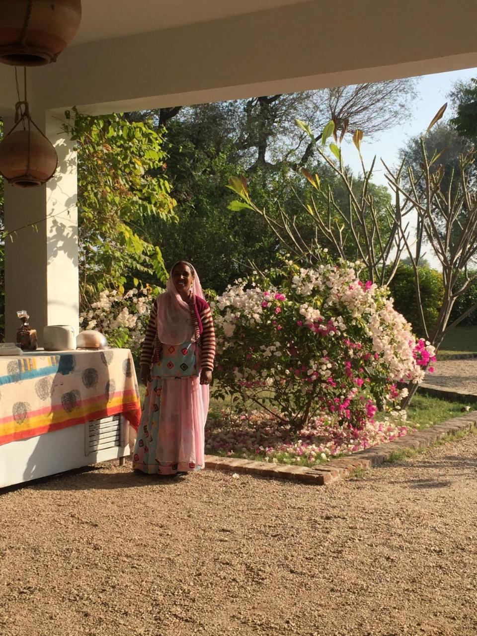 Savista Retreat Otel Jaipur Dış mekan fotoğraf
